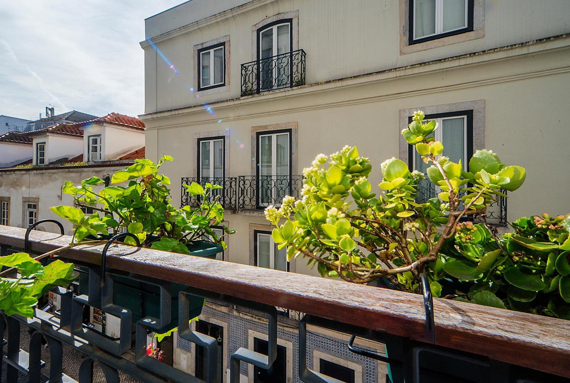 Apartamento Intendente Prime By Hosty